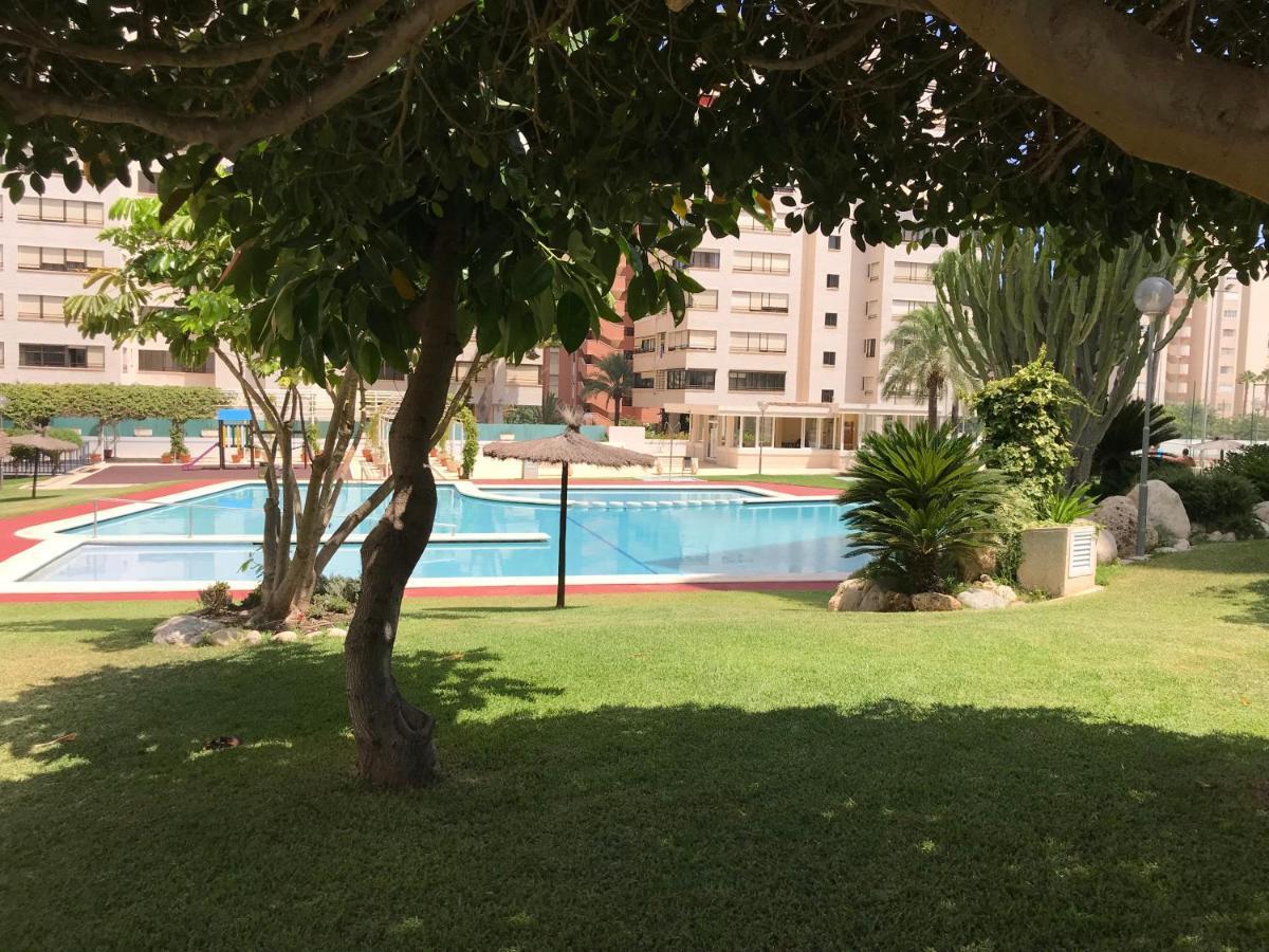 Playa Dos Avenidas Alicante Zewnętrze zdjęcie