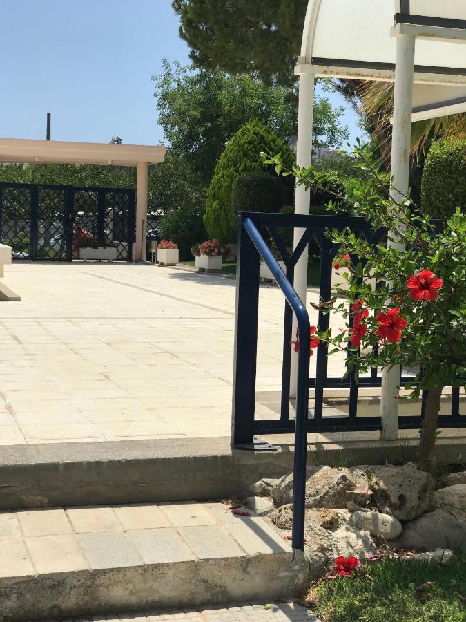 Playa Dos Avenidas Alicante Zewnętrze zdjęcie
